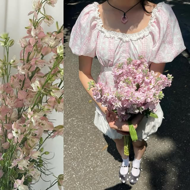 Remolacha Yumi Top (Last chance)